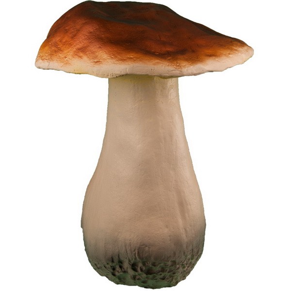 Белый гриб гигант
