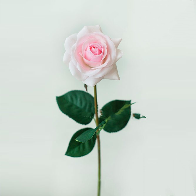 Роза малая светло-розовая h-43см, d бутона-6см Арт001