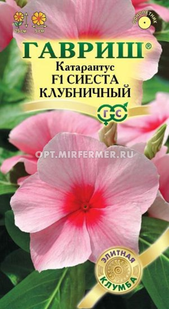 Катарантус Сиеста клубничный F1* 5 шт.