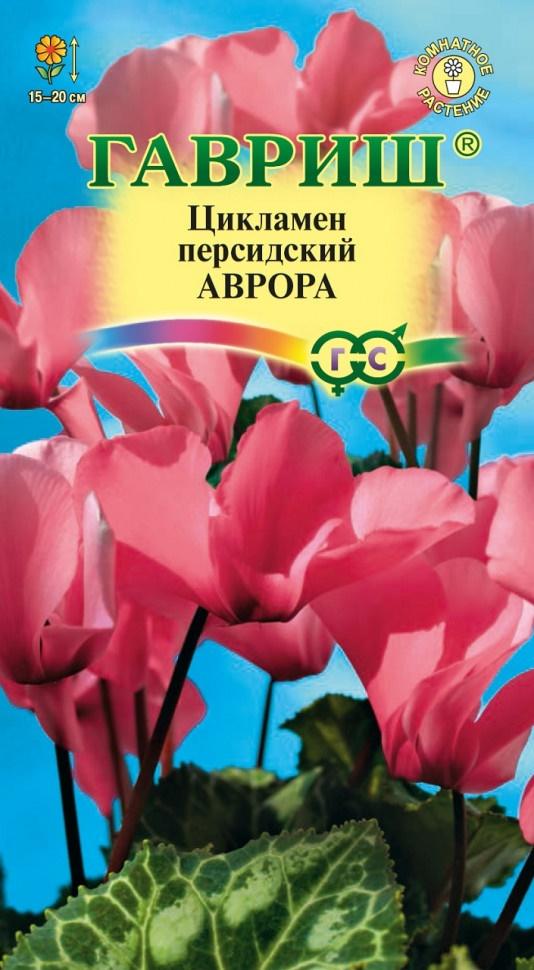 Цикламен персидский Аврора светло-лососевый, 15-20см 3шт Гавриш/ЦВ