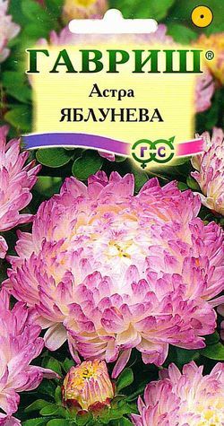 Астра Яблунева пионов, белая с розовым напылением, 65см, однол 0,3гр Гавриш/ЦВ