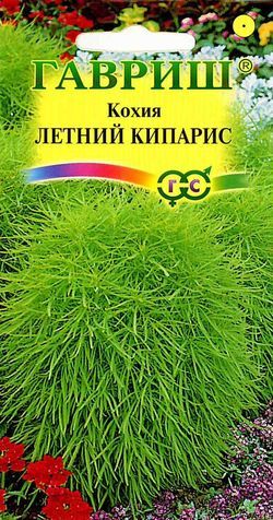 Кохия Летний Кипарис веничная, светло-зеленая, однол, до 1м 0,3гр Гавриш/ЦВ