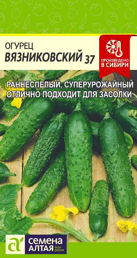 Огурец Вязниковский 37 ПЧ, раннеспелый, 10-14см 0,5гр СА/ЦВ