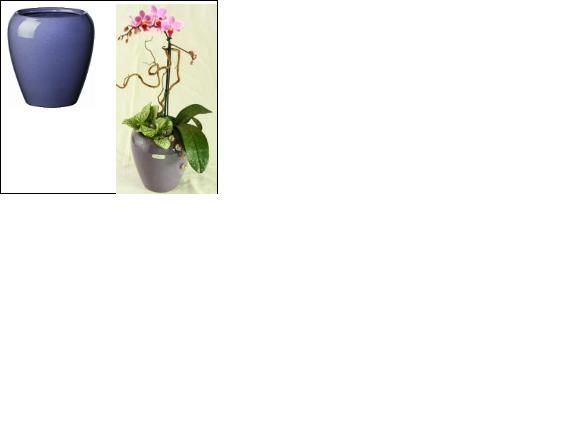Кашпо 34095A(20) Orchid Pot Violet Lav/viola 2,0л б/п d17 Эльза