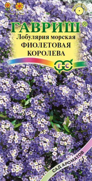 Лобулярия Фиолетовая Королева сиреневая, однол, 10-12см 0,05гр Гавриш/ЦВ