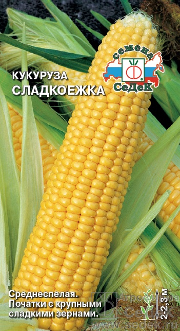 Кукуруза Сладкоежка сахарная, среднеспелая 4гр Седек/ЦВ