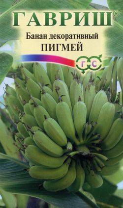 Банан Пигмей декоративный 3шт Гавриш/ЦВ
