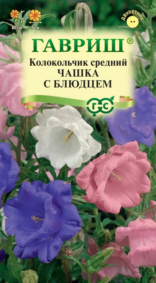 Колокольчик средний Чашка с Блюдцем смесь 80см, двул 0,05гр