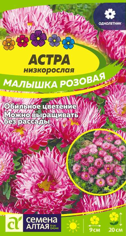 С Ц Астра Малышка Розовая хризантемовид, розово-красная 20см 0,2гр СА/ЦВ