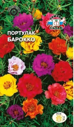 Портулак Барокко махровая, крупноцв смесь, однол, 10см 0,1гр Седек/ЦВ