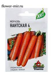 Морковь Нантская 4 среднеспелая, можно под зиму ХИТ 1,5гр Гавриш/ЦВ