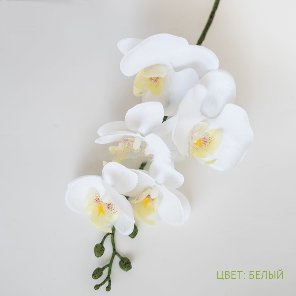 Орхидея Фаленопсис (5цветков) белая h-58см Арт013