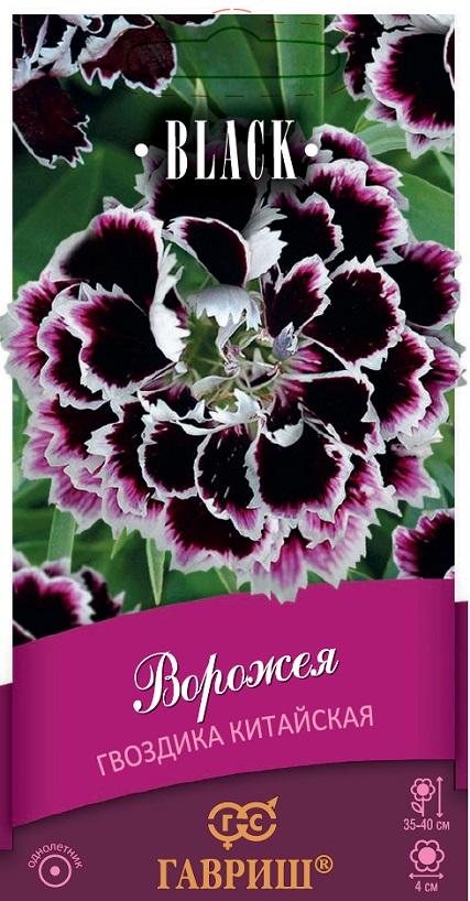 Гвоздика китайская Ворожея махр, черная с белой каймой, 35-40см, однол 0,05гр