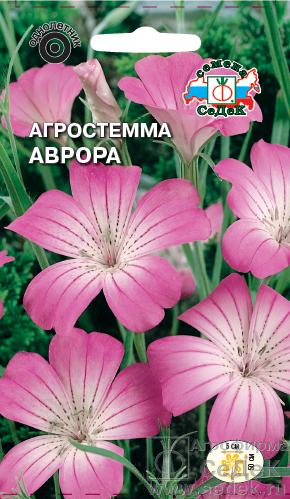 Агростемма Аврора изящная, розово-белая, 50см 0,1гр Седек/ЦВ
