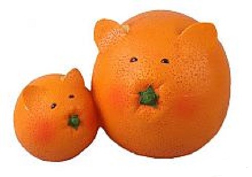 Апельсиновые котята 12396 Мт