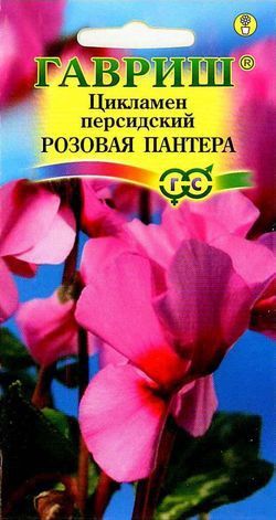 Цикламен персидский Розовая Пантера розовый, 15-20см 3шт Гавриш/ЦВ