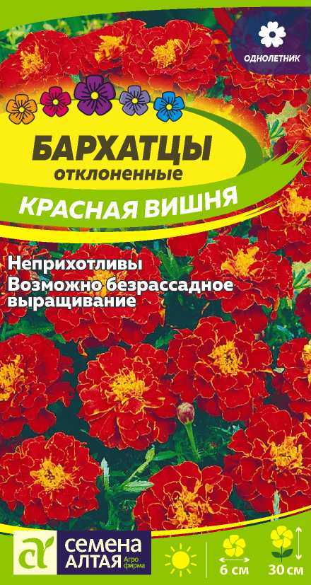 Бархатцы Красная Вишня низкор, отклон, коричнево-красные, до 30см, однол 0,2гр СА/ЦВ