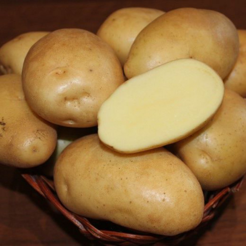 Картофель Крона среднеспелый (сетка 35кг)