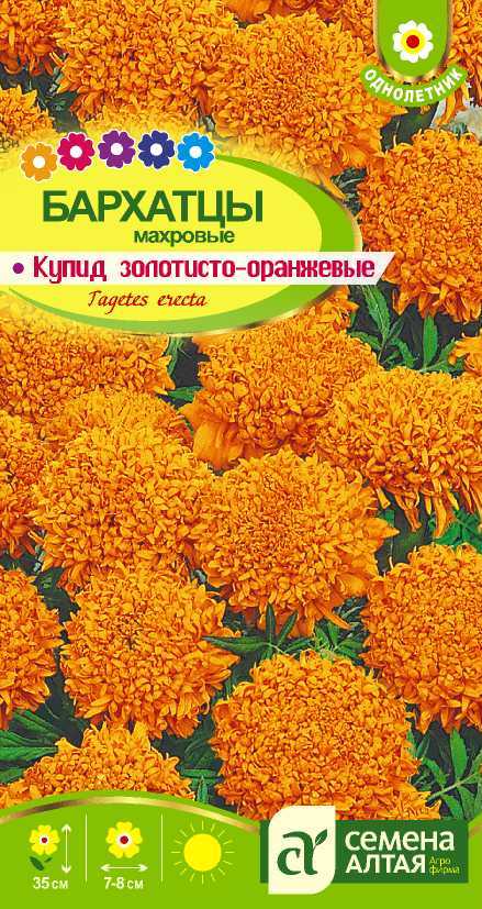 Бархатцы Купид Золотисто-Оранжевые махровые, до 35см, однол 0,3гр СА/ЦВ