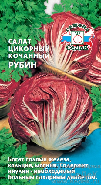 Салат Рубин цикорный раннеспелый, красно-бордовый 0,5гр Седек/ЦВ
