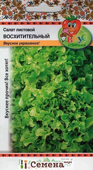 Салат Восхитительный листовой, среднеранний 200шт НК/ЦВ