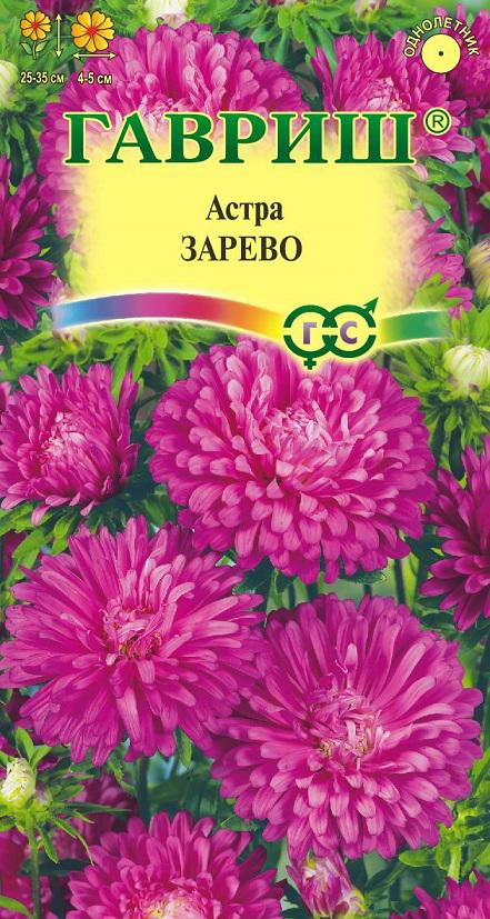 Астра Зарево карлик, махр, темно-розовый, 25-35см, однол 0,3гр Гавриш/ЦВ