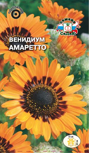 С Ц Венидиум Амаретто оранжевая с пурпурно-коричневым кругом в центре 50см 0,1гр Седек/ЦВ