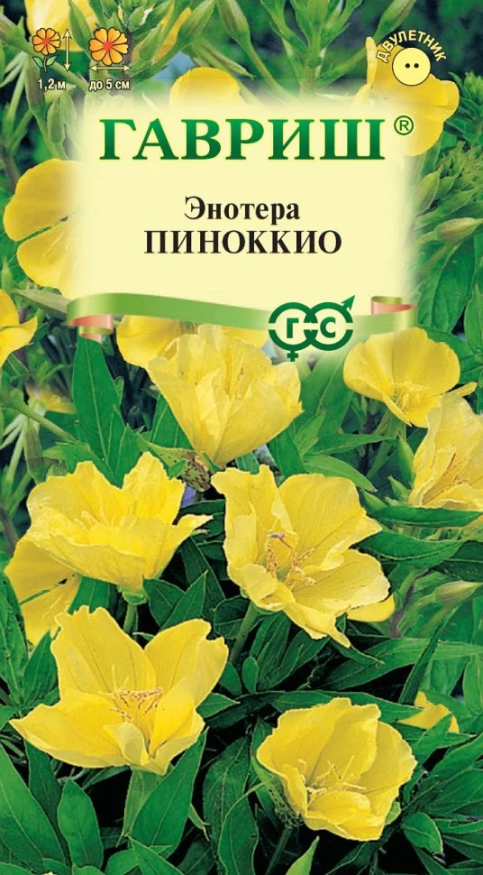 Энотера Пиноккио лимонно-желт 120см двулет 0,3гр Гавриш/ЦВ