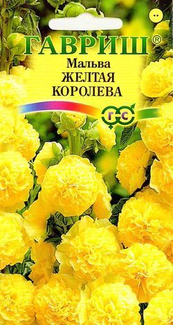 Мальва (Шток-роза) Желтая Королева махр, золотисто-желтая, до 2,5м, двул 0,1гр Гавриш/ЦВ