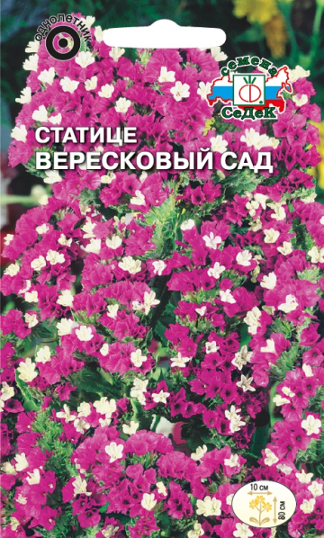 Статица Вересковый Сад сухоцвет, густо-розовая 80см, однол 0,2гр Седек/ЦВ
