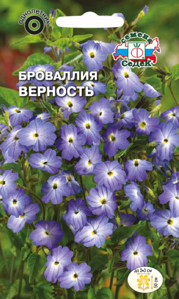 С Ц Броваллия Верность небесно-голубая 50см 0,1гр Седек/ЦВ