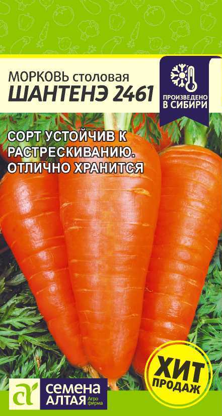 Морковь Шантенэ 2461 среднеспелая, для хранения 1,5гр СА/БП