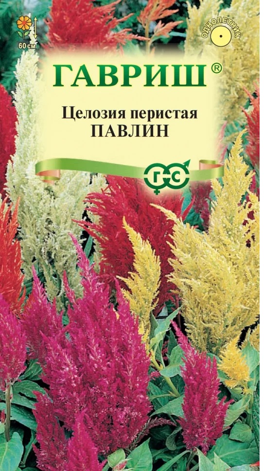 Целозия перистая Павлин смесь, до 50см, однол 0,05гр